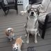 Lynn Blais - Facebook