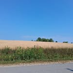 Lynn Blais - @blais2267 - Instagram