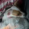 Blakely___lynn - @blakely___lynn - TikTok