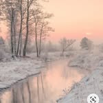 Lynn Blodgett - @sillylily37 - Instagram
