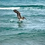 Lynn Bloom - @lynnbloom555 - Instagram