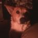 Lynn Poley - Facebook