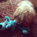 _Lynn_Bolton_ - @_lynn_bolton_j - Instagram