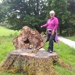 Lynn Bolton - @bolton3851 - Instagram