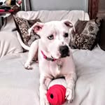 Breanna Lynn Booker - @_breannabooker - Instagram