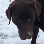 Lynn Booker - @bookercookie - Instagram