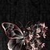 Lynn Booker - Facebook
