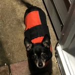 Lynn Boren Parris - @surfdog13 - Instagram
