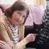 lynnbos - @lynndevlin1 - TikTok
