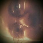Jerry  Lynn Boswell - @jerrylynnboswell - Instagram