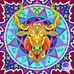 Patti Lynn Jones - Facebook