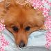 Lynne Bourne - Facebook