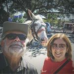 Lynn Baxter Bourque - @davlyn8d - Instagram
