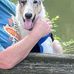 Lynn Bourque - Facebook