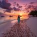 Lynn Bourque - Facebook