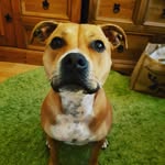 Lynn Bowen - @lynnbowen - Instagram