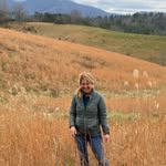Lynn Sugg Bowers - @lynnbowers61 - Instagram