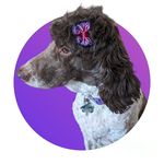 Lynn Bowles - @lynnbowles65 - Instagram