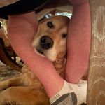 Wendy Lynn Bowles - @wendy.l.bowles - Instagram