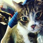 Amanda Lynn Cotter - @am4co2002 - Instagram