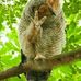 Lyn Cotter - Facebook