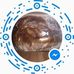 Lynn Cotter - Facebook