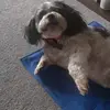 Lynne Ley - @lynne.ley - TikTok