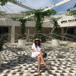 Katie Lynn Ellinger - @miss.shellinger - Instagram