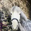 Lynn_ferguson - @lynn_ferguson - TikTok