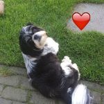 Lynn Gerritsen - @gerritsen.lynn - Instagram