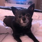 Tamra Lynn Gessner - @tamra_lynn73 - Instagram