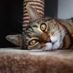 @lynn.gilley - Instagram