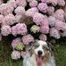 Lyn Gilmour - Facebook