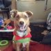 Lyn Gilmour - Facebook