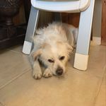 Lynn Gilmour - @the_lynn_gilmour - Instagram