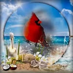Lynn Goff - @lynn.goff.58 - Instagram