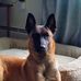 Lynn Goff - Facebook