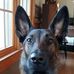 Lynne Gourley - Facebook