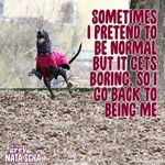 Lynn Greaves - @greaveslynn1 - Instagram