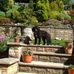 Lynn Greaves - Facebook