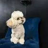 lynngreaves992 - @lynngreaves992 - TikTok