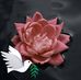 Lyn Greenfield - Facebook