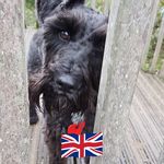 Lynn Greenfield - @greenfly1952 - Instagram