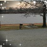 Lynn Greenfield - @manestream74066 - Instagram