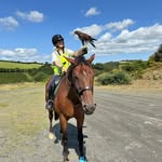 Lynn Greenfield - @greenfield6261 - Instagram