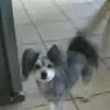 raelynngreenfield - @raelynngreenfield - TikTok