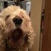 Lynn Gregson - Facebook