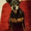 lynngriffithsanto - @lynngriffithsanto - TikTok