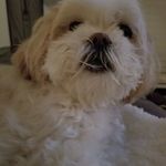 Lynn Griggs - @lynngriggs3 - Instagram