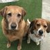 Lynne Grigg - Facebook